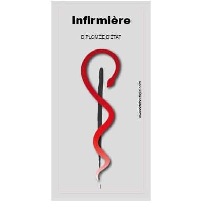 Caducee-Infirmier-Diplome-d-etat