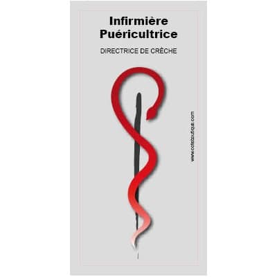 Caducee-Infirmiere-puericultrice-Directrice-de-creche-Diplomee-d-etat