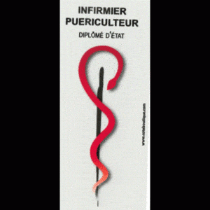 Caducée Infirmier puériculteur Diplômé d'Etat