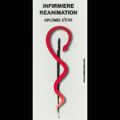 Caducée Infirmier(e) Réanimation Diplômé(e) d'État