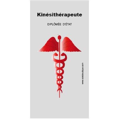 Caducée Kinésithérapeute Diplômé(e) d'Etat